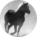 Profilbild von „Heiko Chlodek“